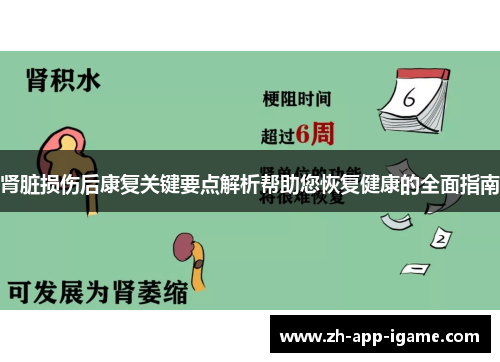 肾脏损伤后康复关键要点解析帮助您恢复健康的全面指南 肾脏损伤后康复关键要点解析帮助您恢复健康的全面指南
