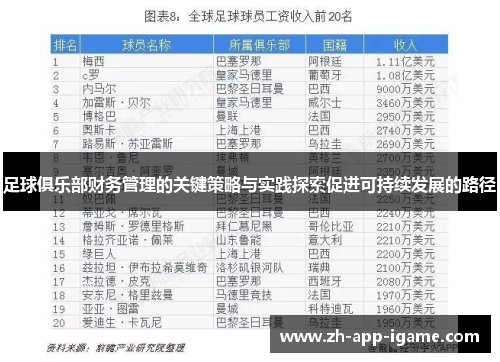 足球俱乐部财务管理的关键策略与实践探索促进可持续发展的路径
