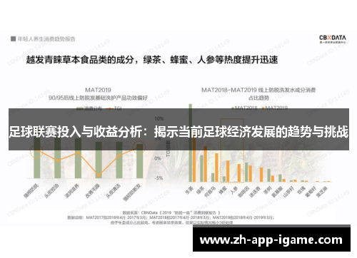 足球联赛投入与收益分析：揭示当前足球经济发展的趋势与挑战