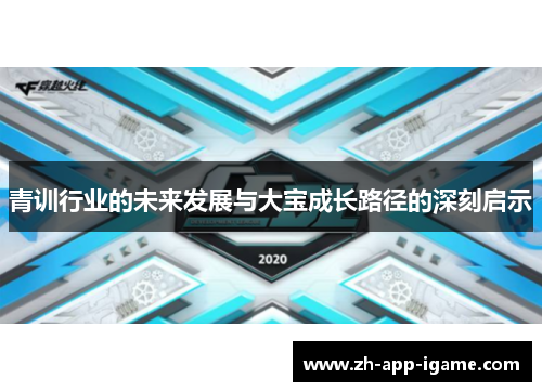青训行业的未来发展与大宝成长路径的深刻启示 青训行业的未来发展与大宝成长路径的深刻启示